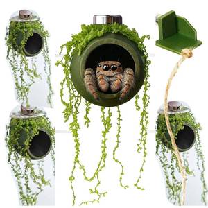 lot 12369 image: YOMENO 4Pcs Jumping Spider Enclosure Accessories Cocoon-Shaped Jumping Spider Hideaway with Artificial Moss and 1 Pcs Resting Platform Magnetic Small Animal Shelter Toy (Army Green)