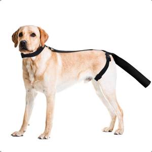 lot 12374 image: OHCOZZY Dog Tail Protector, Dog Tail Bandage Cover for Comfortable Wound Injury Recovery�� Dog Harness with Tail Guard Ends Protector Sleeve,L