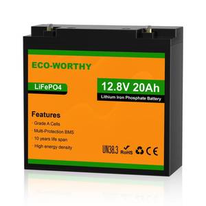 lot 13704 image: ECO-WORTHY 12V 20Ah LiFePO4 Lithium Battery, 4000 Deep Cycle Rechargeable Battery with BMS for Fish Finder, Ham Radio, Solar System, Outdoor Camping
