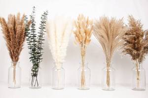 lot 2202 image: 110 PCS of Boho Pampas Grass Decor, Naturally Dried Pompas, Bunny Tails Dried Flowers, and dried eucalyptus. Perfect for Weddings, Boho Party Decorations, and Table Decor.