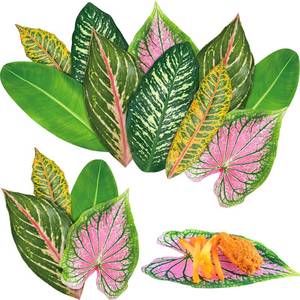 lot 2253 image: Kisston 50 Pcs Tropical Paper Leaves for Cheese Board 8.7 Inch Parchment
