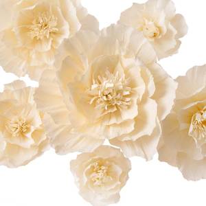 lot 2309 image: MEJOY Crepe Paper Flowers Decoration for Wall, Flowers for Wedding Decor,Flower Backdrop Decor,Baby Shower,Birthday Party,Photo Backdrop,Archway Decor, Nursery Wall Decor(Beige,Set of 6)