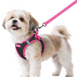 lot 8011 image: rabbitgoo Dog Harness Small Sized and Leash Set, Step in Soft Vest