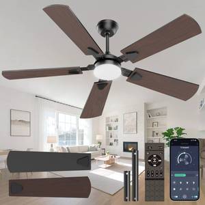 lot 9818 image: Crazypai Ceiling Fans with Lights, 52 Inch Modern Ceiling Fans with Lights and Remote Control, DC Reversible Motor, Noiseless, 3CCT, Ceiling Fan for Bedroom, Living Room, Apartment IndoorOutdoor Use