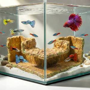 lot 10441 image: XuanFain Aquarium Cave, Natural Resin Rock Hideout for Betta Fish Tank