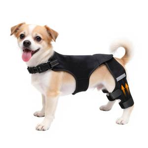 lot 12453 image: ALYBIT Dog Knee Braces for Torn ACL Hind Leg, Adjustable Dog Leg Braces for Back Leg with Four-Stabilizers for Luxating Patella Relieves Ligament Injury & Joint Pain(Mini2)