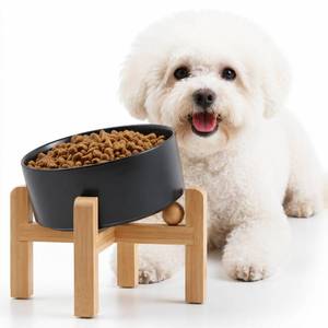 lot 19219 image: Petygooing Black RaisedElevated 15°Slanted Ceramic Dog Bowl for Small Breeds,Tilted Anti Slip Pet Feeding Bowl,Food Water Dish with Stand for Cats and Small Dogs Puppy 13.5 OZ (5.1In 1.7 Cups)