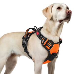 lot 20345 image: rabbitgoo Dog Harness for Large, Updated Easy On & Off with 3 Buckles Large