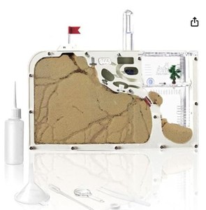 lot 8443 image: Acrylic Ant Farm