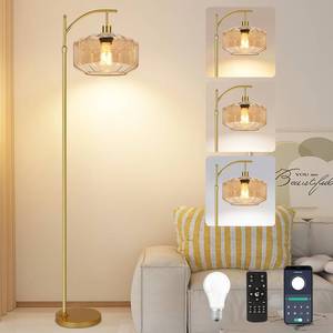 lot 1846 image: Vintage Floor Lamps for Living Room Glass Floor Lamp with Remote Control,Dimmable Floor Lamp Gold Mid Century Modern Standing Lamp 3 Color Temperature Brass Tall Floor Lamps for Bedroom Corner