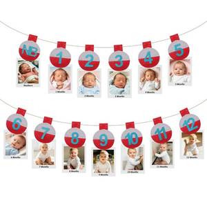 lot 2011 image: Amosfun Newborn to 12 Month Photo Banner for First Birthday Decorations, Cloth Monthly Milestone Picture Bunting, 1st Birthday Photo Banner Garland for Baby Shower Nursery Decor
