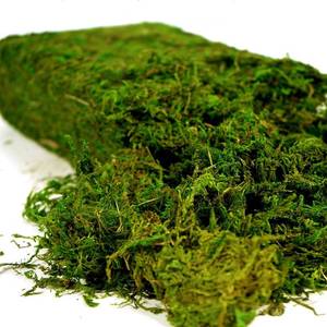 lot 7564 image: USMOLA Artificial Moss, 16OZ Fake Moss for Crafts Table Centerpieces Fairy Garden Wedding Party Decor, Faux Grass for Potted Plants, 455gr (Fresh Green)