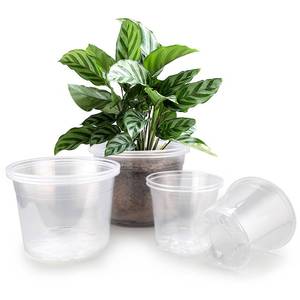 lot 8106 image: FUOAUYK 7810 Inch Large Clear Nursery Pots with Drainage, 9 Pack Plastic Pots for Plants, Clear Plant Seedling Pots for Indoor and Outdoor Gardening (7 8 10 inch)