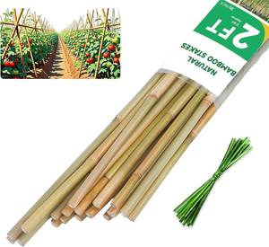 lot 4109 image: 2ft Natural Bamboo Plant Stakes for Tomatoes, Beans, Flowers, Potted, Climbing Plants 30pcs