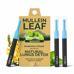 lot 12254 image: Cigtrus Mullein - Smokeless Inhaler, Quit Smoking Aid, Spearmint - 3 Pack