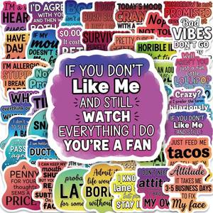 lot 12257 image: 50 Pcs Sarcastic Quote Stickers, Funny Attitude & Snarky Sayings Vinyl Decals, Waterproof Stickers for Laptop, Water Bottle, Journal, Scrapbooking, Teens Adults