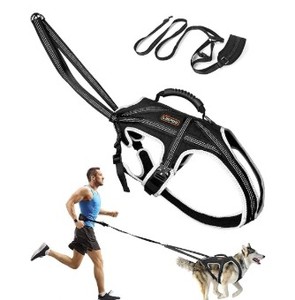 lot 2054 image: LisPoo dog harness size L black