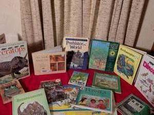 lot 367 image: Dinosaur Childrens Books Collection Lot 15 Titles Prehistoric World