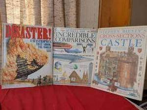 lot 406 image: DK 3-Book Set Disaster Catastrophes, Incredible Comparisons, Cross-Sections Castle