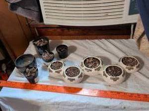 lot 499 image: Lot of 10 Potted Seedling Planters with Soil and Plants