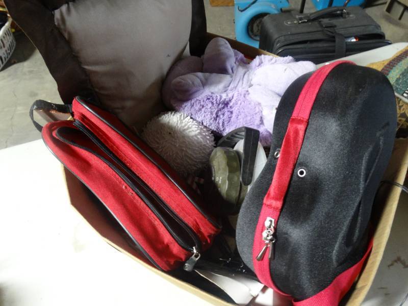 lot 4050 image: Lot with pillows, small carry bags, pine cones, stuffed animals, etc.