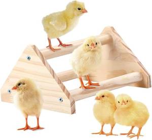 lot 11975 image: Wooden Chick Perch Stand - Pine Roost Bar for Chicken Coop & Brooder (Small)