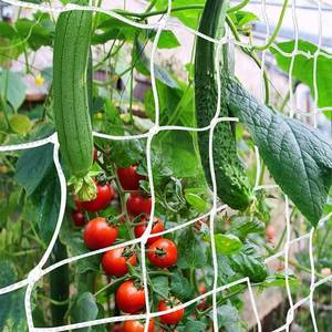 lot 12130 image: CANAGROW Trellis Netting for Climbing Plants, Heavy-Duty Netting, Pack 4