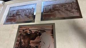 lot 1513 image: Lot of 3 metal Architectural and Animal Photographs Matted Prints 8x11