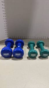 lot 2169 image: Power systems weights 5 and 8 pounds