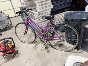 lot 204 image: Schwinn Criss Cross bicycle (tires both flat)