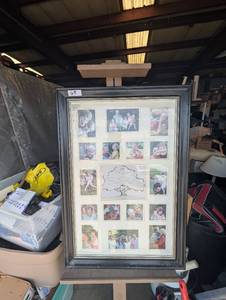 lot 65 image: Green Tree 17 picture framed display