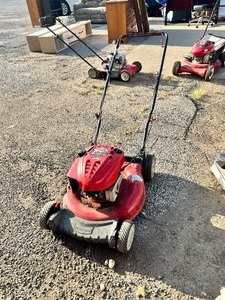 lot 107 image: Gas push mower