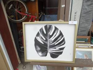 lot 54 image: Framed black-and-white botanical art print