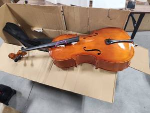 lot 18169 image: Cello and Case - Retail $0