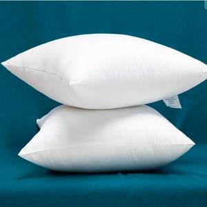 lot 18215 image: Set of 2 100% Cotton Fabric Plump Throw Pillow Inserts, Down Alternative Decorative Couch Pillow Inserts, 26 X 26 Inches - Retail $41