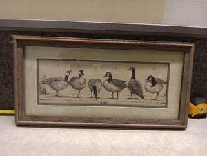 lot 187 image: Framed Pen and Ink Goose Print The Lineup Numbered 1-6