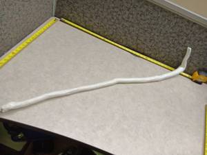 lot 203 image: White-Painted Cane Approx 39