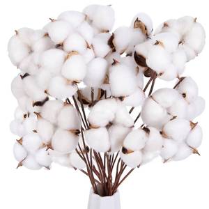 lot 1047 image: DOMESTAR 30PCS Natural Dried Cotton Stems 16 Tall, Rustic Cotton Sprigs - Retail $16