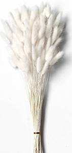 lot 1082 image: White Dried Pampas Grass Decor, 17-inch Pompas Floral, Dry Flowers for Decoration, Pampas Grass in Bulk Tall, White Bunny Tails Dried Flowers for Boho Wedding - Retail $10