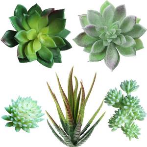 lot 1274 image: Supla 5 Pcs Assorted Artificial Succulents Plants Unpotted Small Green Cactus Echeveria Picks Fake Succulents Bulk for Succulent Garden Centerpiece Wreath Floral Arrangement Indoor Outdoor Home D�cor - Retail $9