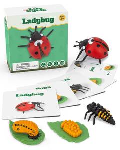 lot 1429 image: Life Cycle Kit Montessori - Realistic Figurine Toys, Kids Animal Matching Game with Ladybug, Easter Basket Stuffers for Kids, Science Fun for Learning Education Toys - Retail $10