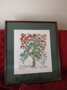 lot 1187 image: Botanical Floral Print with Red Flowers and Blue Blossoms Framed 26 x 23.5