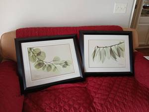 lot 1191 image: Framed Botanical Art Prints Signed A Kershaw Leaves Branch 20x24