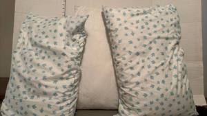 lot 1429 image: Three bed Pillows