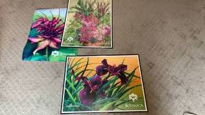 lot 1743 image: Botanica Wichita Framed Art Prints 2011 2014 Edition  24X28