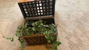 lot 1745 image: Wood box with Lattice Grid Pattern with greenery12X15X10