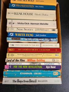 lot 3416 image: Books, including White Fang.
