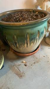 lot 3610 image: Ceramic Planter Bowl with terracotta Saucer, 12X15