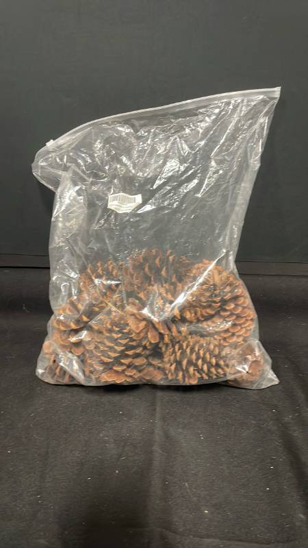 lot 7796 image: Pine Cones Bag Decorative Natural