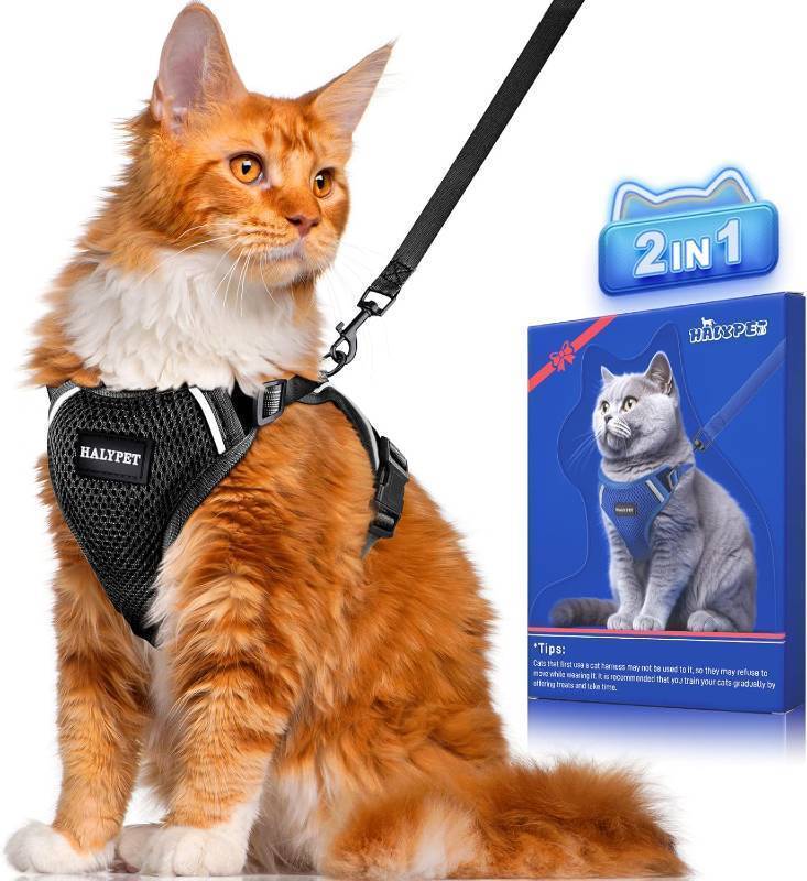 lot 21738 image: Halypet Cat Harness and Leash Set MAX Safety Third Generation Escape Proof Soft Adjustable Cat Leash Breathable Comfortable Vest Easy to Wear Kitten Harness for Outdoor Walking Pink Size Small
